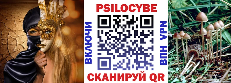 KRAKEN ссылки  наркошоп  Купино  Псилоцибиновые грибы мухоморы 